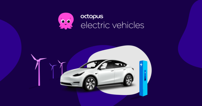 Octopus Electric Vehicles