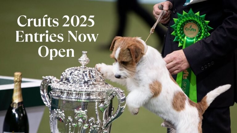 Crufts 2025