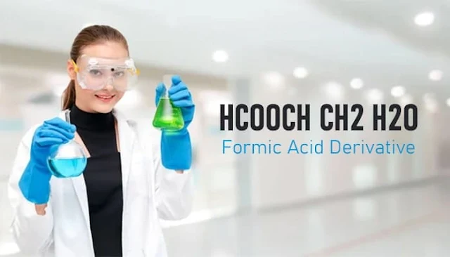 HCOOCH + CH₂ + H₂O: Understanding the Reaction Mechanism and Chemical Significance HCOOCH + CH₂ + H₂O