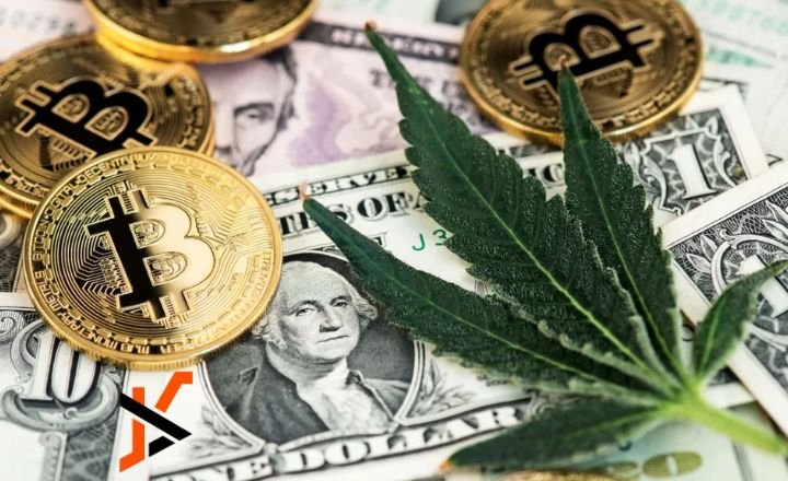 5StarsStocks.com Cannabis Insights: Top Picks for Smart Investors 5StarsStocks.com Cannabis